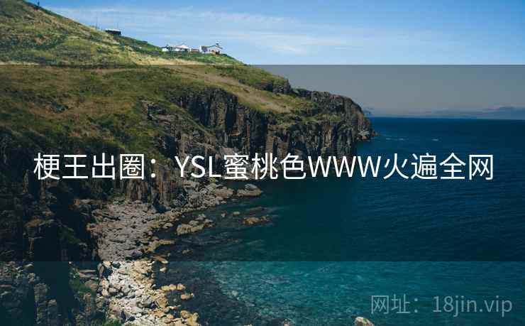 梗王出圈：YSL蜜桃色WWW火遍全网