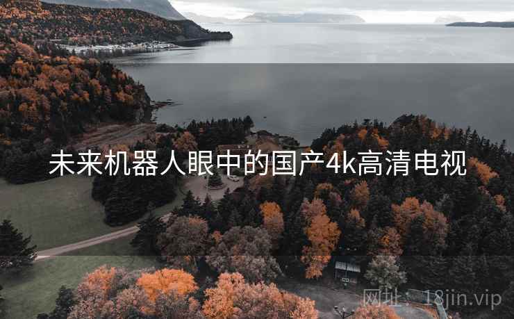 未来机器人眼中的国产4k高清电视 第2张 未来机器人眼中的国产4k高清电视 第2张